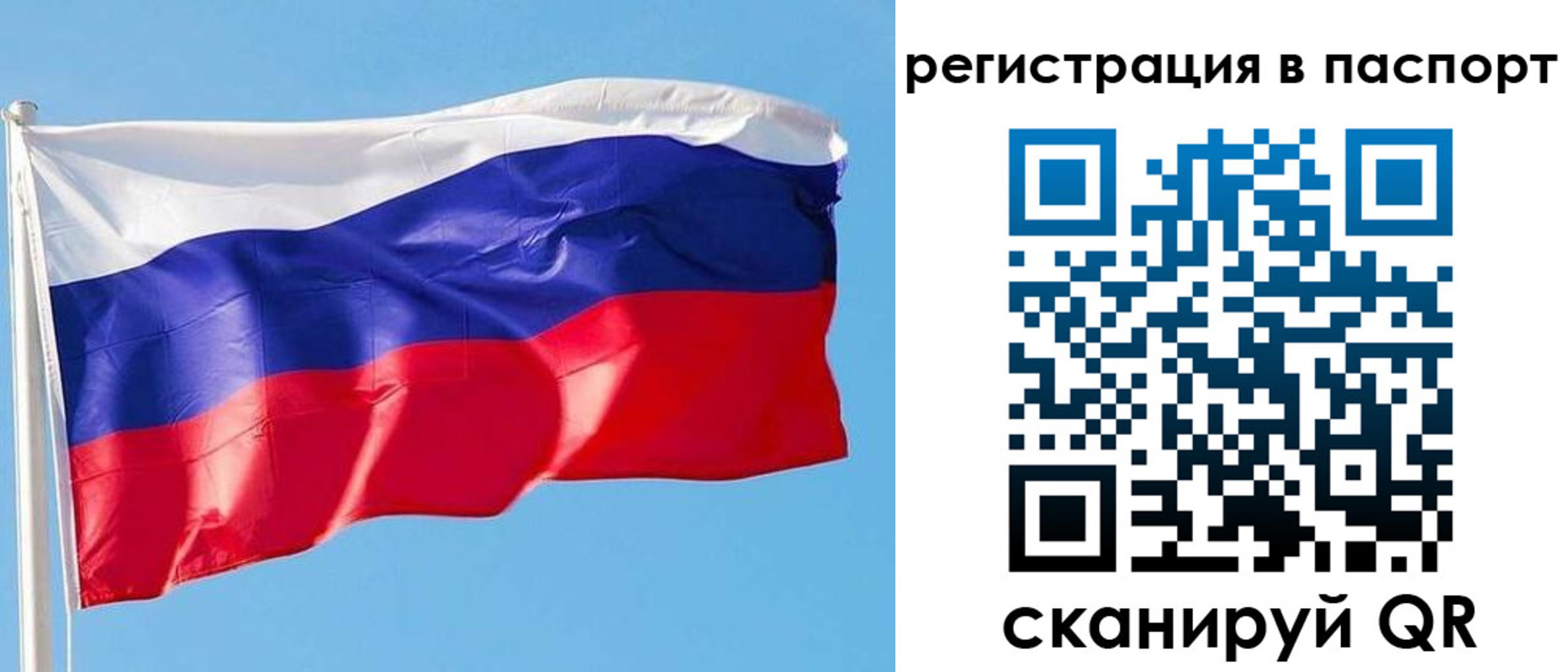 прописка законно в Сальске